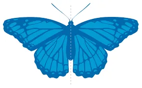 Imagem ilustrativa do exercício - clique para ampliar